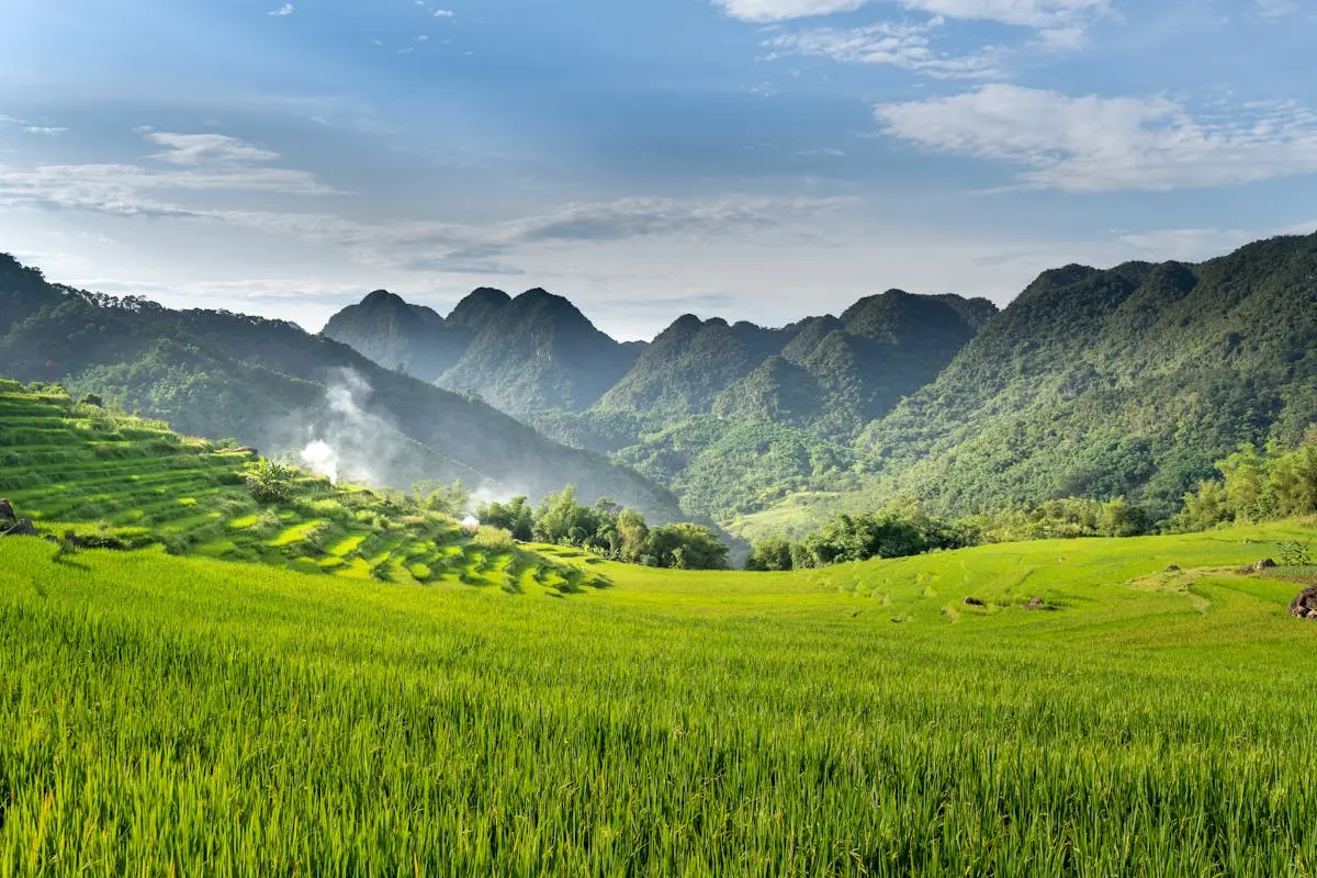 Ninh Binh Panorama